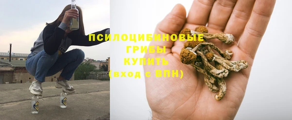 прущий лед Алексин