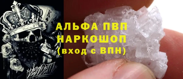 индика Краснотурьинск