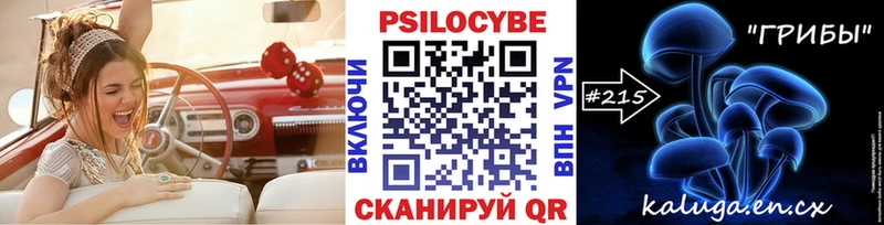 как найти наркотики Чистополь Псилоцибиновые грибы GOLDEN TEACHER