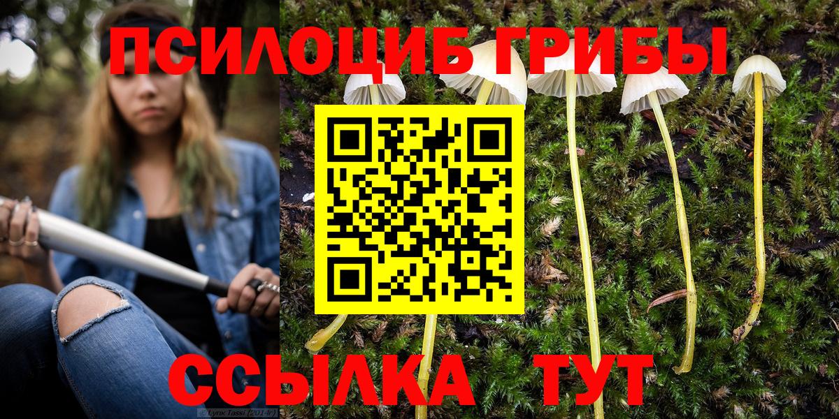Псилоцибиновые грибы Psilocybine cubensis  Вход с VPN  Галлюциногенные грибы ЛСД  Чистополь 