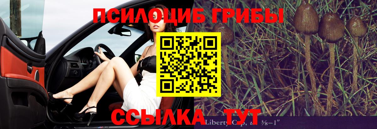 Галлюциногенные грибы мицелий Чистополь