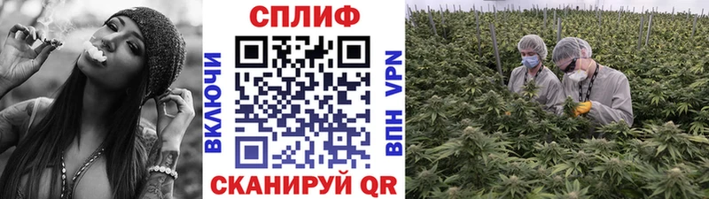 Бошки марихуана White Widow Чистополь